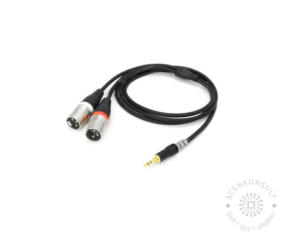 Minijack till 2× XLR